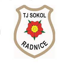 TJ Sokol Radnice, spolek